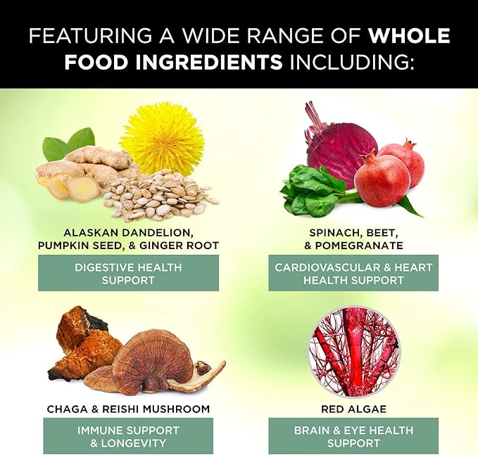 Whole Food Men & Women’s Supplement for Holistic Health (Bundle) | Women’s Multivitamins (120 Capsules) + Men’s Multivitamins (120 Capsules) |Full-Spectrum, 100% Natural, Non-GMO