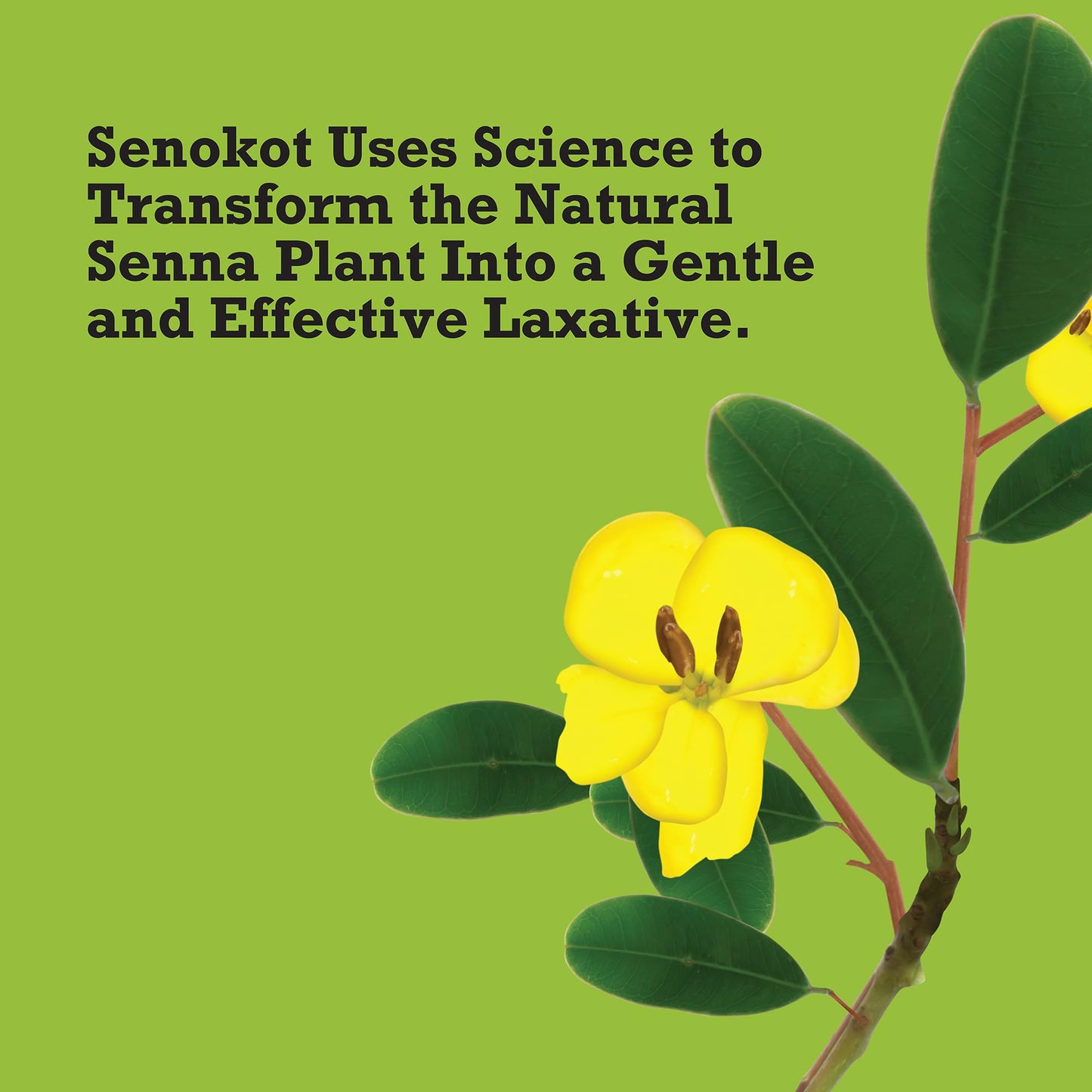 Senokot Regular Strength Senna Laxative Tablets Constipation Relief for Adults, 100 count