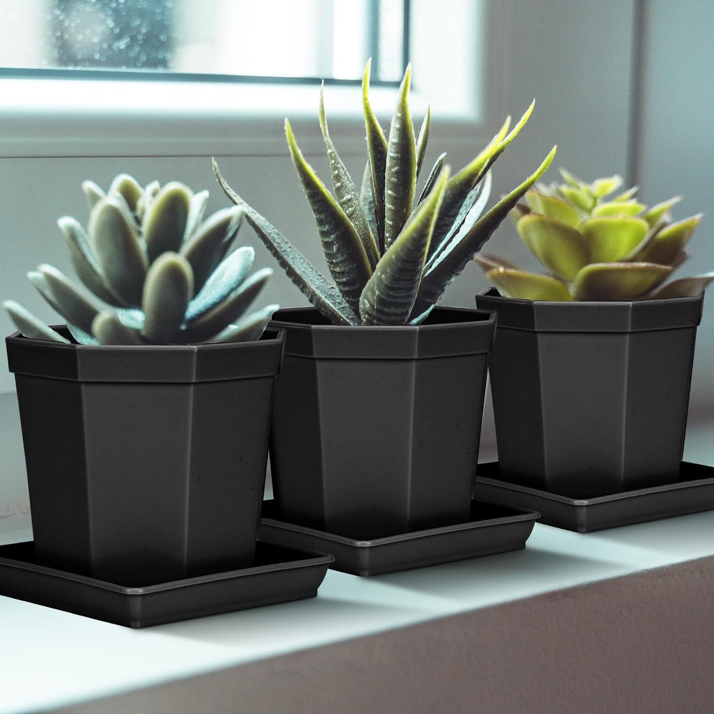 Square Plant Saucer 6inch 5 Pack, Plastic Plant Saucers, Plant Water Dray Tray, 8 10 12 14 16 18 20 Inch Garden Planters for for Pots Base Indoors and Outdoors Plants（6 inch Black）