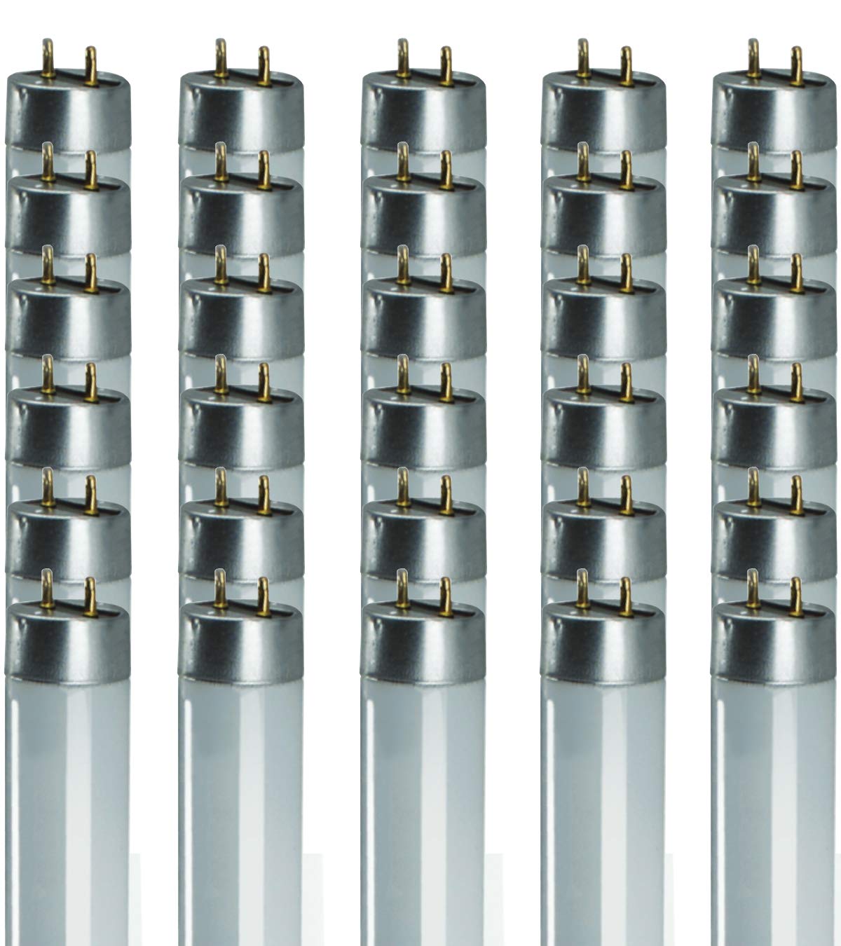 Goodbulb 28W T8 Fluorescent Light Bulb - 4100K Cool White, 2970 Lumens, Glass, 30 Count, Model Gbf28T8/