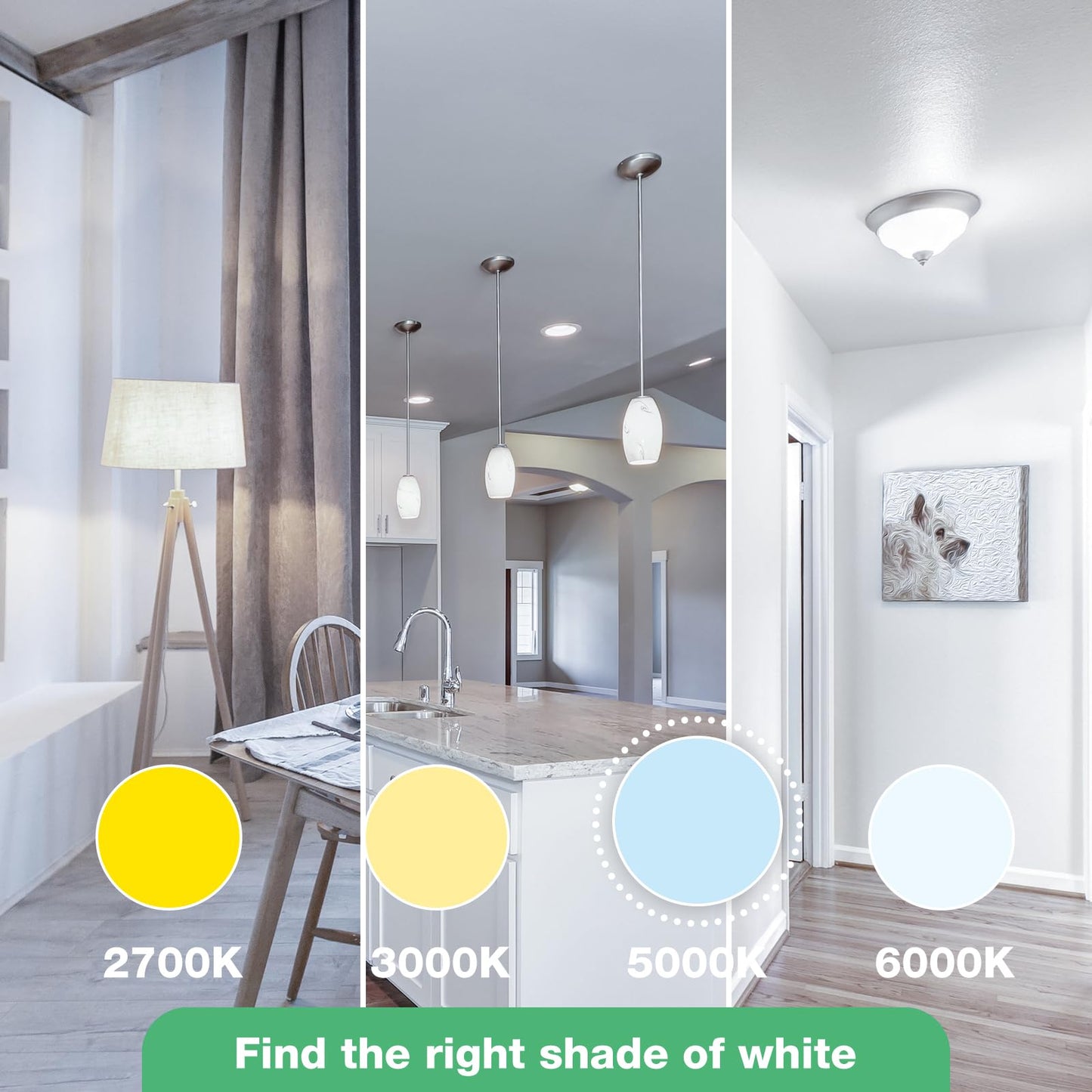 Degnju 24 Pack Led Light Bulbs 100 Watt Equivalent  A19 5000K Daylight  1500 Lumens  E26 Base  Non-Dimmable  13 Watt Energy Efficient Led Bulbs For Home Lighting