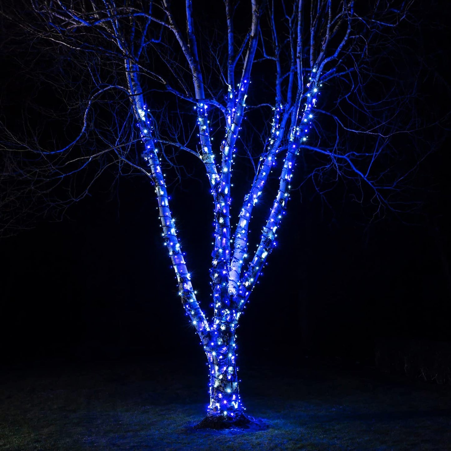 kemooie 300 LED Outdoor Christmas Lights, 99FT, 8 Twinkle Modes, Green Wire, Blue Fairy String Lights for Indoor/Outdoor Decorations