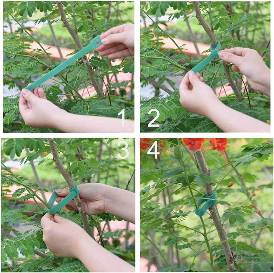 Garden Hook＆Loop Plant Cable Ties, 200 Pcs Adjustable Garden Nylon Ties for Supporting Plant and Vines, Multi-Functional Ties (200 Pcs, 8 Inch, Green)