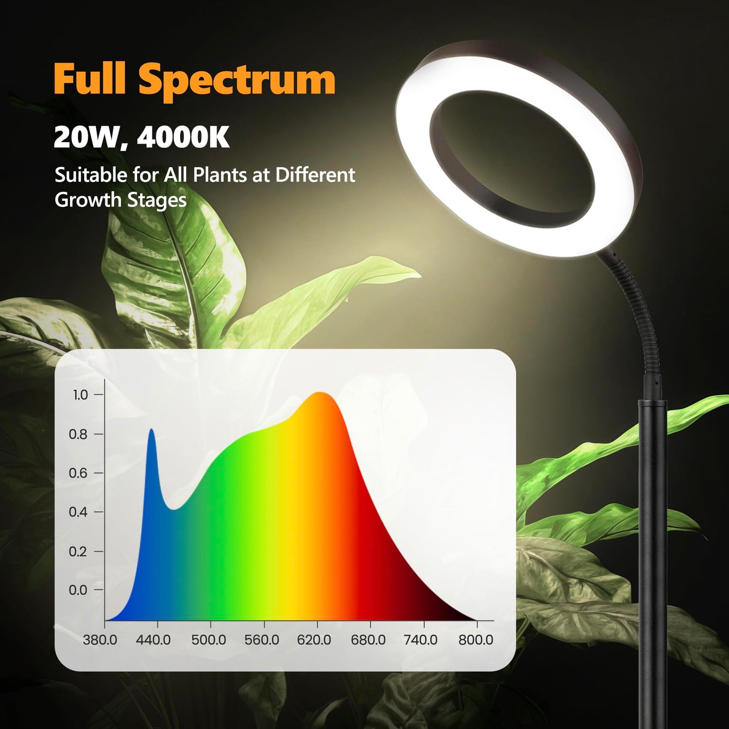 Vsoke Grow Light for Indoor Plants, 20W LED, Adjustable Stand, Off Timer, 10 Dimmable Brightness, Large, Floor-standing Ring Black, Model 24RingBlaV