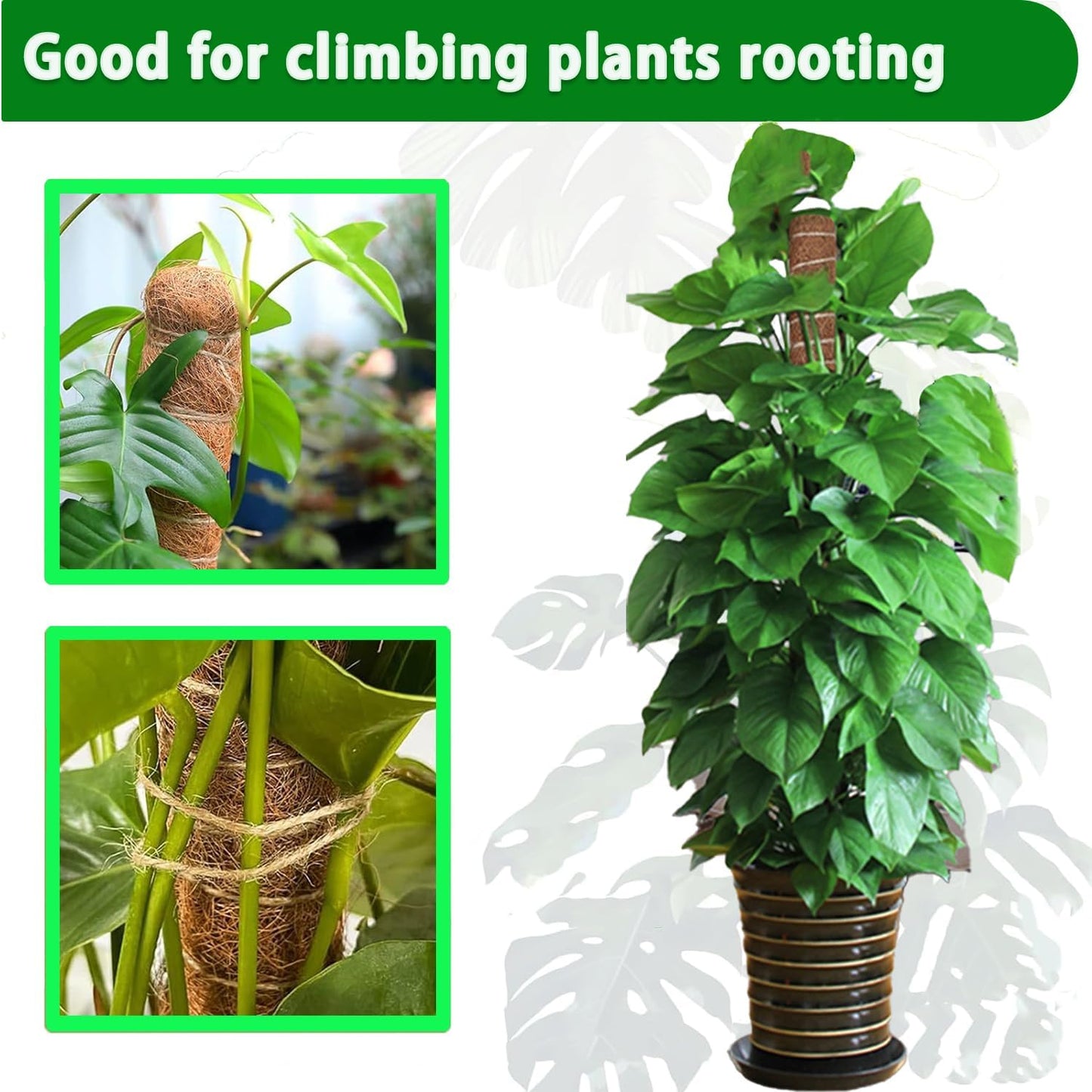 Moss Pole, 2 Pack 17 Inch Monstera Plant Support for Climbing Plants Accessories Indoor, Stackable Moss Poles Plant Support Stakes, Coir Plant Pole Sticks for Potted Plants, Pothos, Philodendron