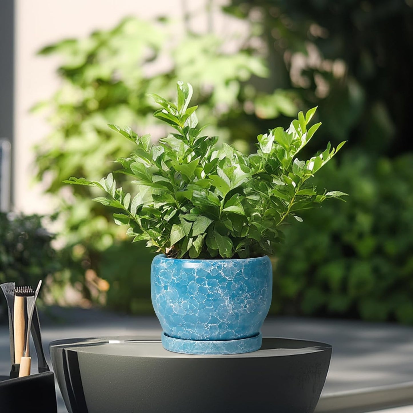 SQOWL 6 Inch Plant Pot - Ceramic Indoor Planter with Drainage Hole and Saucer, Decorative Ceramic Flower Pot Outdoor, Round Succulent Planter, Home Office Room Decor, Gifts for Plant Lovers, Blue
