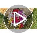 AGIRL 24 Bundles Artificial Flowers for Outdoor,No Fade Fake Plastic Flowers Faux Plants for Decoration Hanging Planters I...