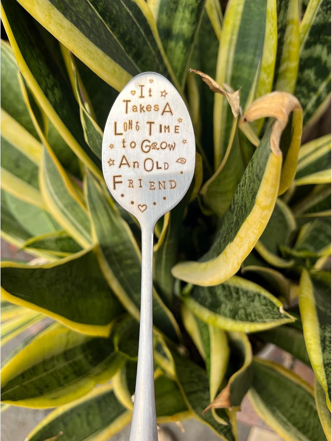 Garden Marker Plant Marker Friendship Plant Gift Garden Label