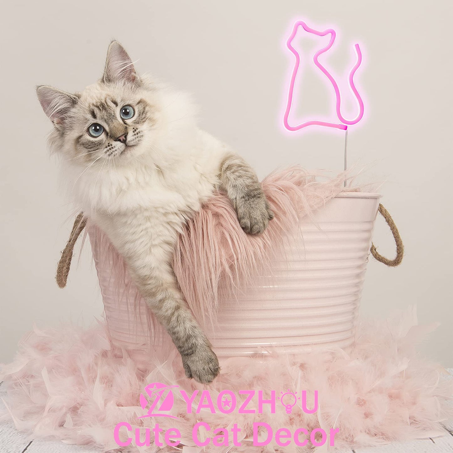 YAOZHOU LED Cat Neon Sign Light, Pink, Battery/USB Operated, Wall Decor for Cat Lovers, Kids, and mature-themeds