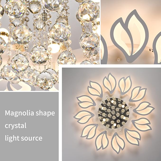 Tioolo Modern Ceiling Lamp, Dimmable LED Ceiling Light, 12-Head Flush Mount Flower Shape Chandelier with Remote, Acrylic Petal Lighting Fixture for Bedroom Kitchen Dining Living Room (55W,White)