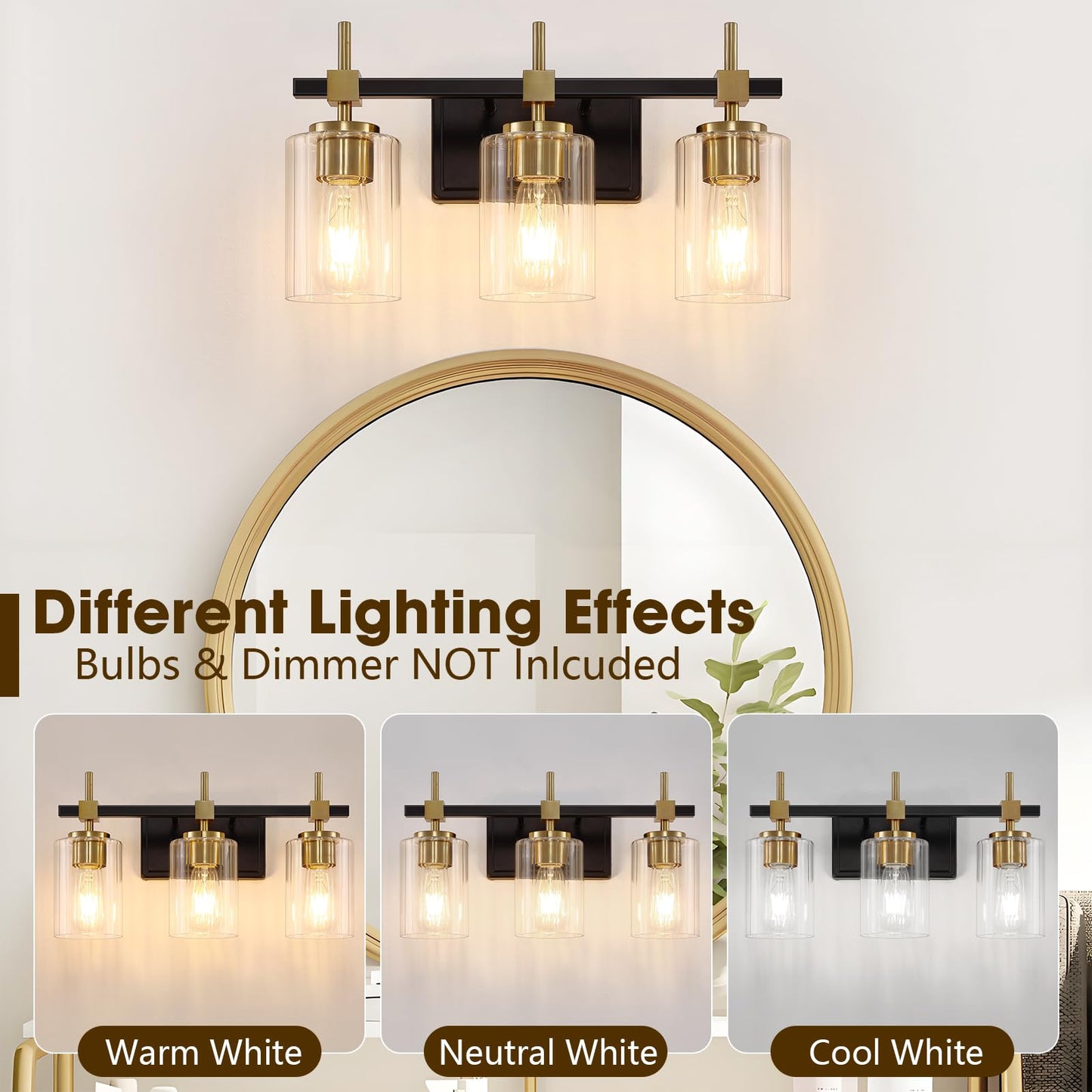Asnxcju 3-Light Vanity Light Fixtures, Black and Gold, Textured Glass Shade, Model TGSWS-BG-3-LIGHT