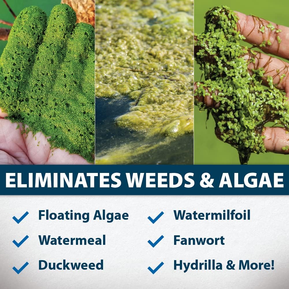 Airmax Knockdown Defense 2-in-1 Liquid Pond Algae Control, Effective & Fast Acting Algaecide, Aquatic Weed Treatment for Clear Water in Ponds & Lakes, Liquid Formulation, 16 oz with Treatment Booster