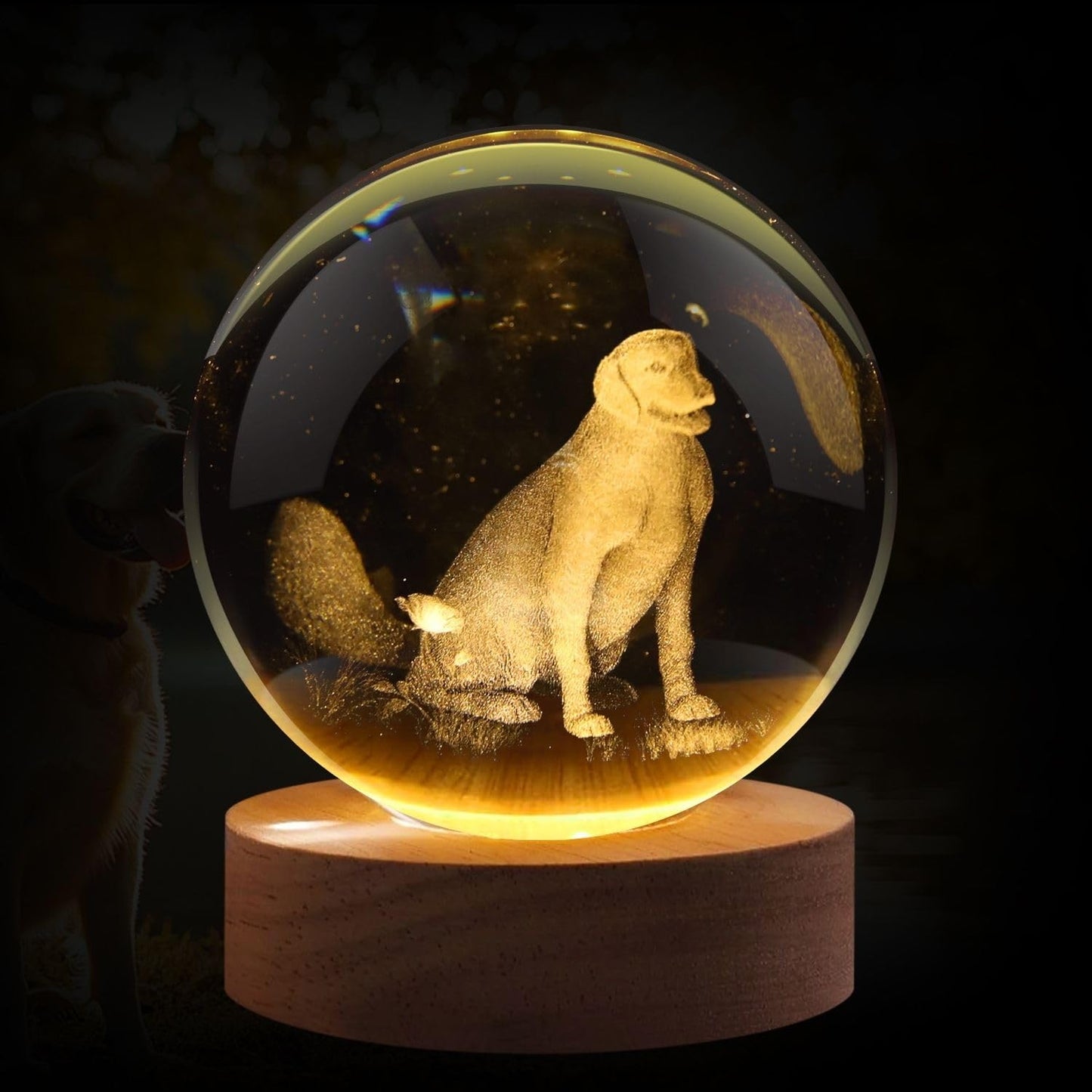 Flexzion 3D Dog Crystal Ball Night Light - Led Light Hologram Glass Lamp W/Solid Wood Base  Usb Powered Crystal Ball Lamp W/Adjustable Brightness For Home Decor Display Gift  3.15 Inch (80Mm)