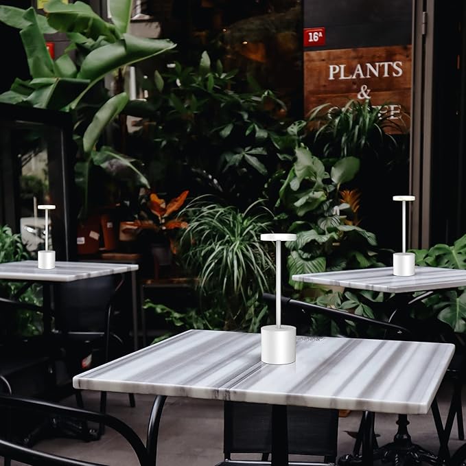 Cordless Table Lamps Rechargeable - Outdoor Portable LED Table Light 5000mAh Battery Operated Lamp 3 Color Stepless Dimming with Memory Function for Restaurant Dining Patio 2Pack Silver