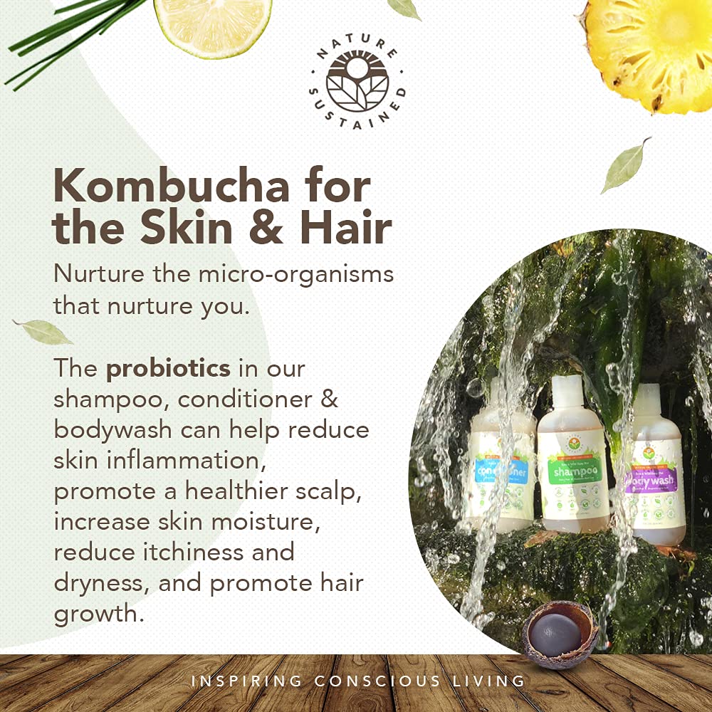Probiotic Soapberry Body Wash, Shampoo & Conditioner Gift Bundle [Unscented] (3 Pack, pH Balanced) for Dry Hair and Sensitive Sk