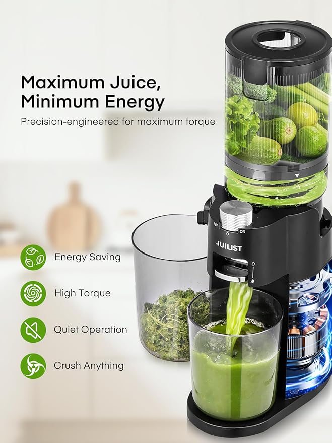 Cold Press Juicer Machines, Masticating Slow Juicer, Quiet, Whole Fruit/Vegetable Juicer with High Yield, Easy to Clean, BPA Free (Black)