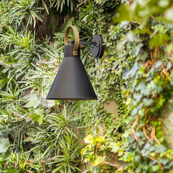 Hinkley Winnie Small Wall Mount Outdoor Lantern - Coastal Elements, Dark Sky, 1-Light, Tapered Design, Bulb Included, Composite Material - Museum Black with Brass Accents
