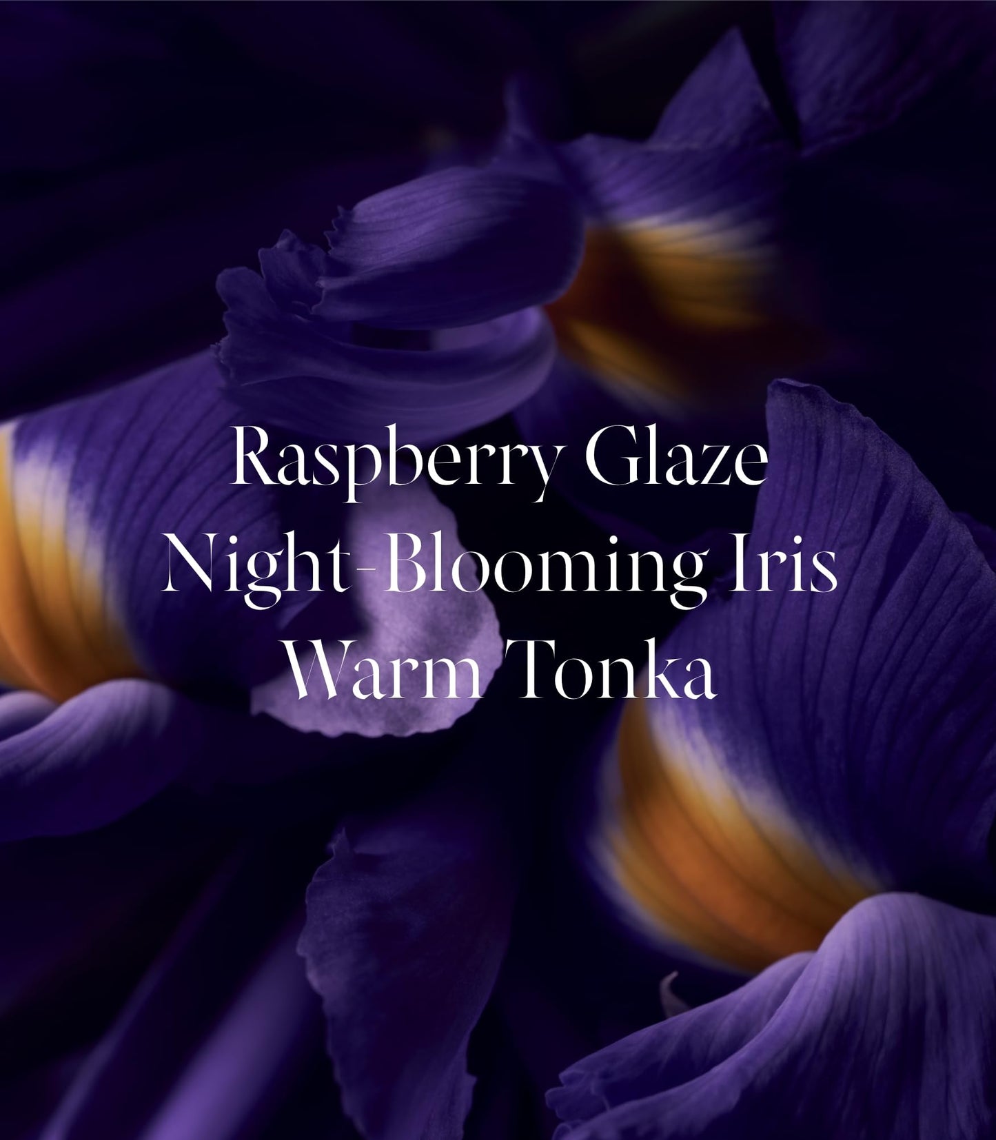 Victoria's Secret Tease Candy Noir Eau de Parfum Rollerball, Notes of Raspberry Glaze, Night-Blooming Iris & Warm Tonka, Travel Size Mini Perfumes for Women (0.23 oz)