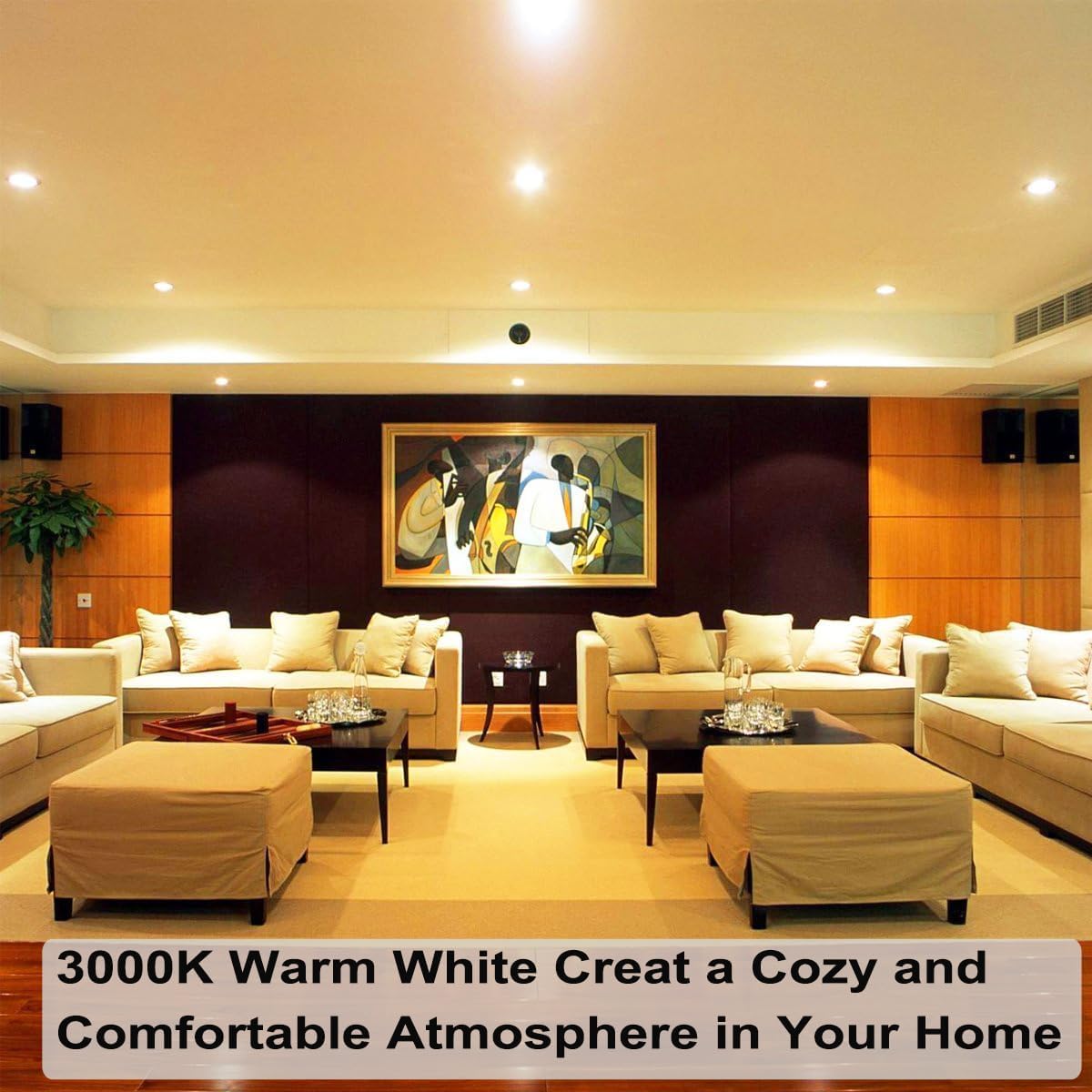 Vinaco Par20 Bulb 50 Watt 2 Pack  High Output Halogen 50W Floodlight  Warm White 3000K Dimmable E26  Long Lasting For Track And Recessed Lighting