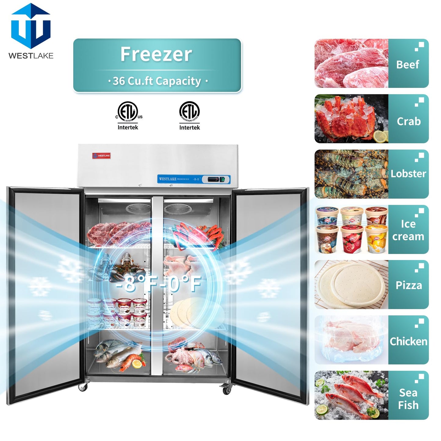WESTLAKE Commercial Freezer 48"W 2 door 2 Section Stainless Steel Reach in Solid door Fan Cooling 36 Cu.ft Freezer for Restuarant, Bar, Shop, etc