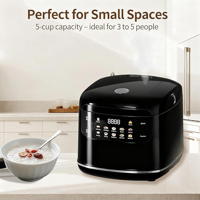 Mini Protable Smart Rice Cooker,2L,5 Cups Cooked/3 Cups Uncooked, 400W Non-Stick Rice Maker, 24 hours Timer Delay,10 Functions,Fast Cooker