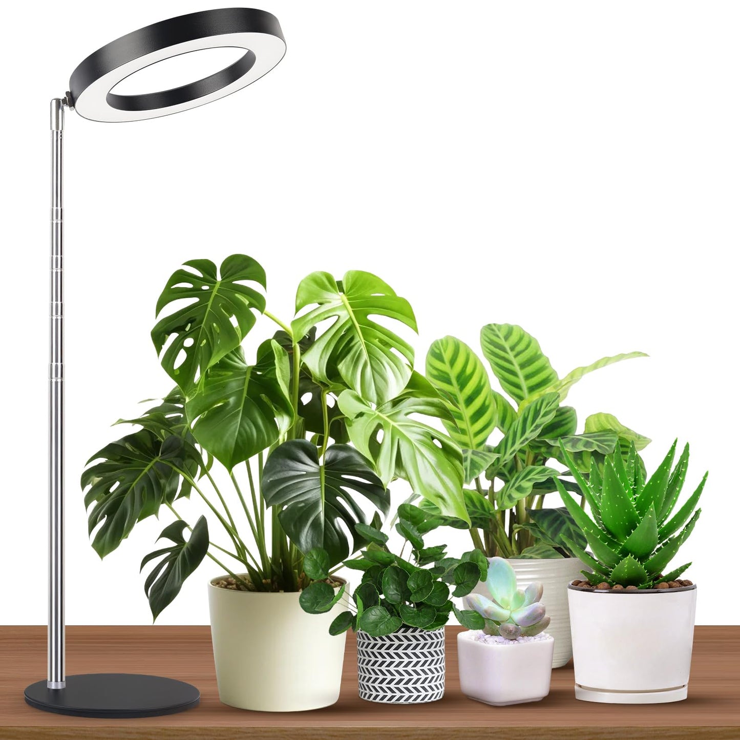 Gtruiidy Desktop Grow Light  Height Adjustable Grow Lights For Indoor Plants Full Spectrum  3 Lighting Mode  Halo Grow Light With Timer  Plant Lights For Indoor Growing (Black)