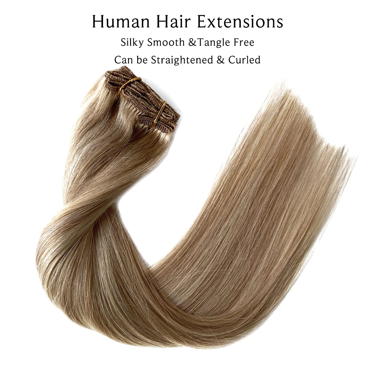 Labetti Clip in Human Hair Extensions with Blonde Highlights 7 Pieces 70g Silky Straight Weft Remy Real Hair (20 inches, #27-613