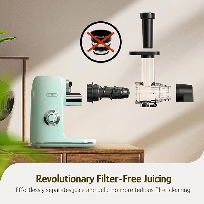 Hazel Quinn Masticating Juicer - Cold Press Slow Juicer for Fruits and Vegetables, BPA-Free Juice Extractor, Easy to Clean, 2-Speed Control, Reverse Function, Quiet Operation, Dishwasher Safe
