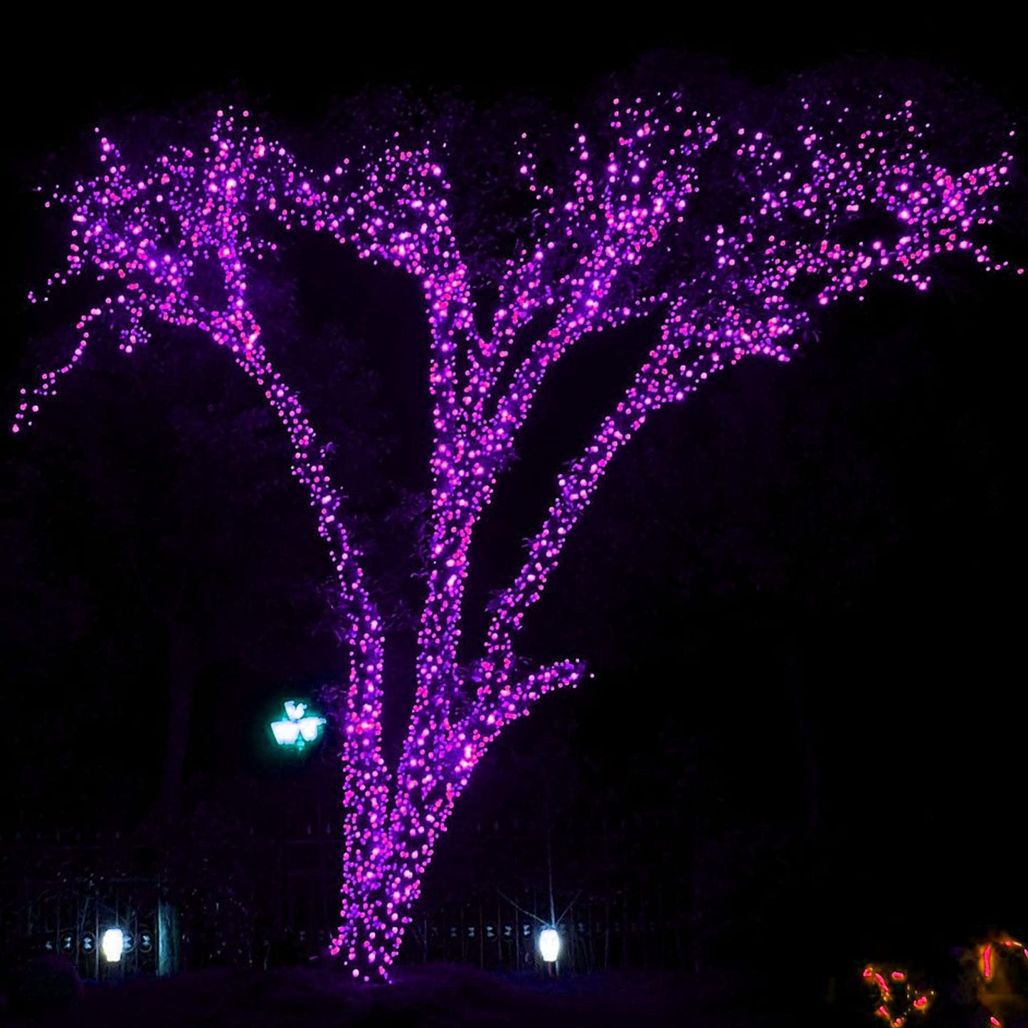 Dazzle Bright 300 LED String Lights, 100FT, Purple, 8 Lighting Modes, Connectable Halloween Decorations, Model HB-300COI
