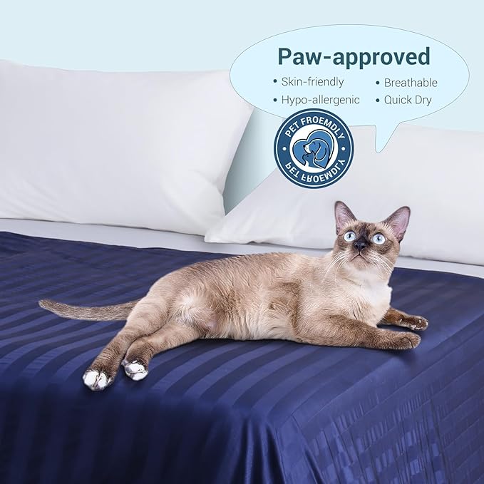 Elegear Revolutionary Cooling Blanket Queen, Absorbs Heat to Keep Body Cool for Night Sweats, Double Sided Arc-Chill3.0 Cool Fiber Q-Max>0.5, Lightweight Summer Cold Blankets Sleeping 79" x 86"