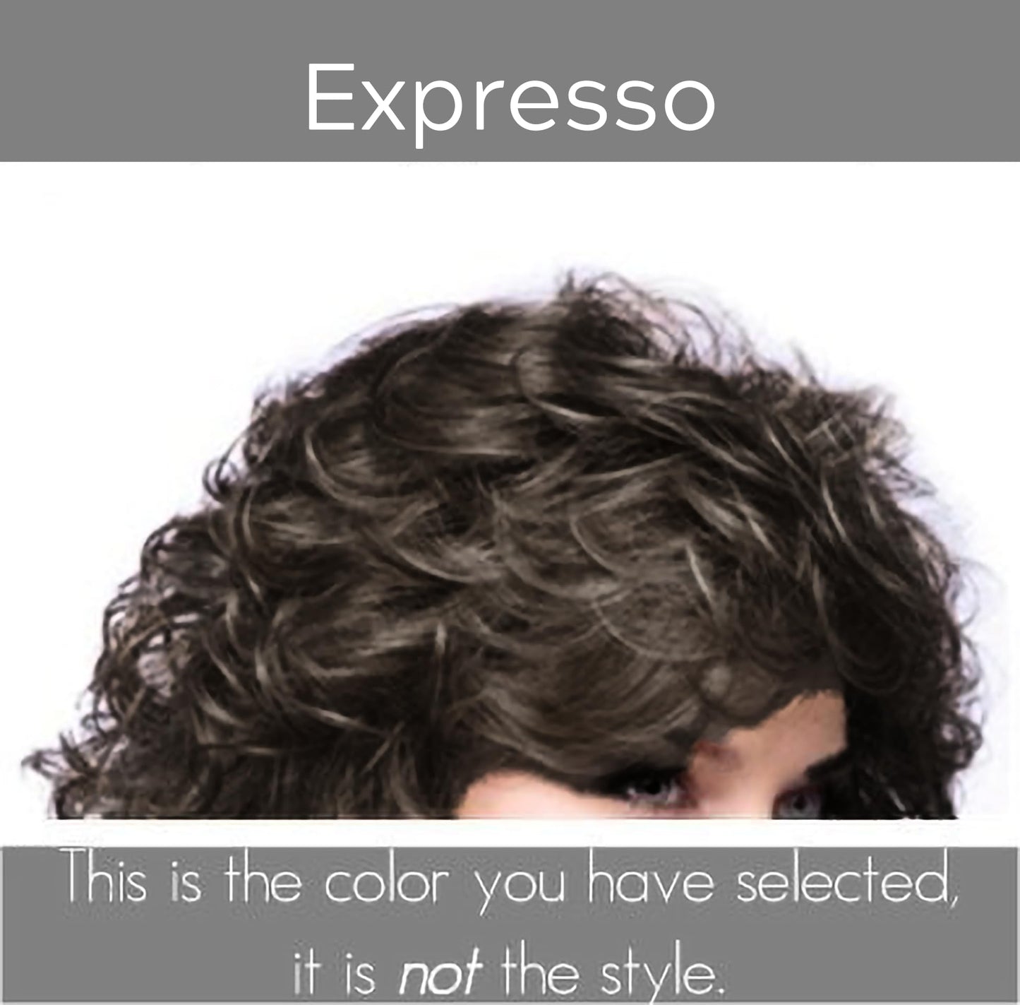 Noriko Angelica Synthetic Wig by Rene of Paris and Wig Lift Comb - Expresso - Bundle 2 Items