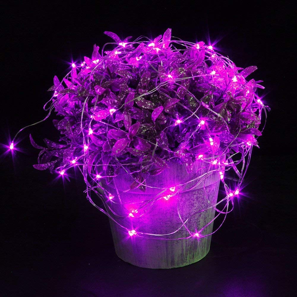 HDSHIMAO LED Starry String Lights, 10 Micro LEDs, 3.3ft Copper Wire, Battery Powered, Purple, Model ZS66, Pack of 3 Sets