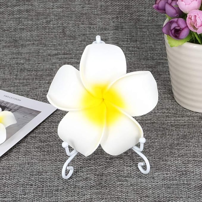 LIONWEI LIONWELI 4 Inch White Iron Plate Stand Holder Easel Display Stand for Plate?Picture?Photo and More,4 pcs.