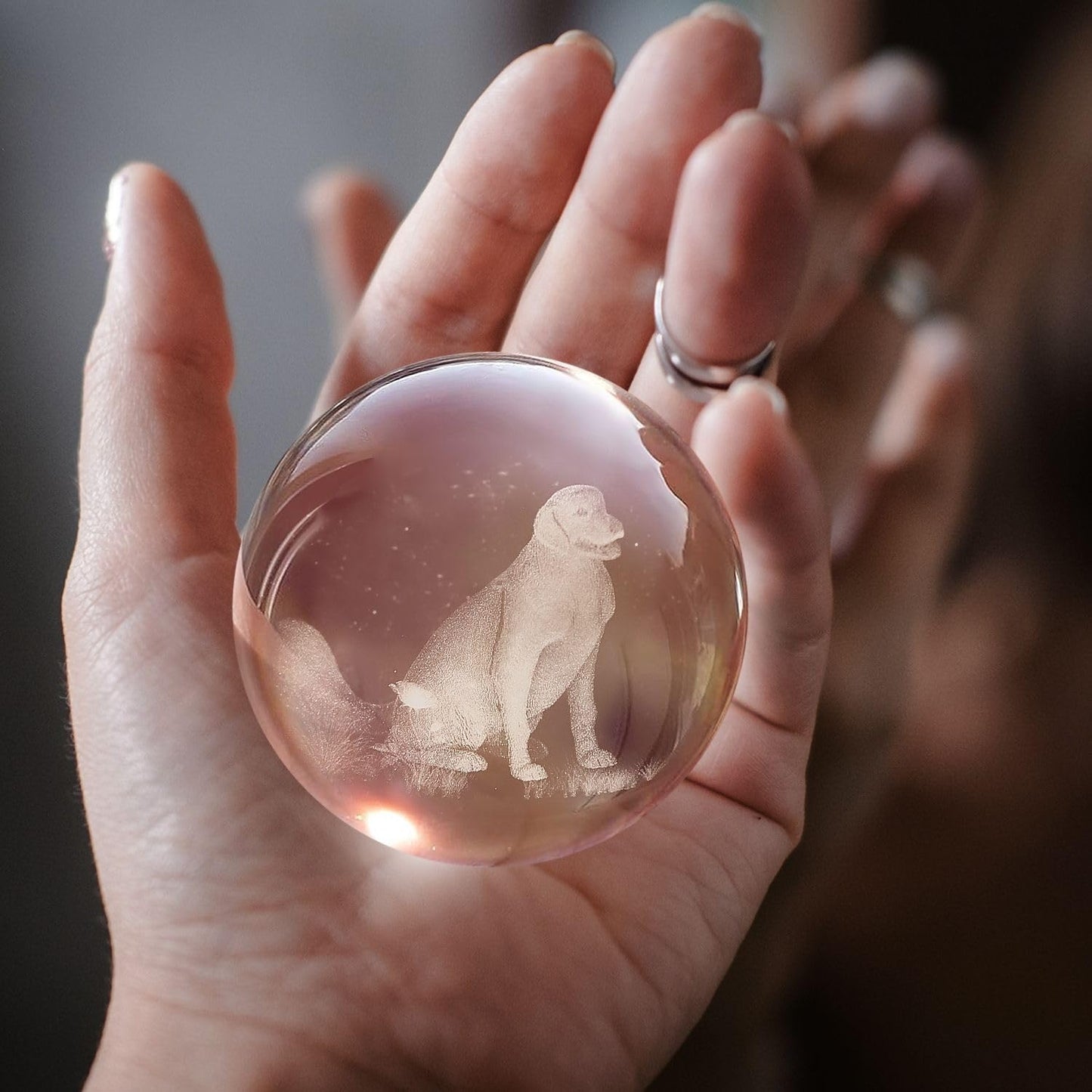 Flexzion 3D Dog Crystal Ball Night Light - Led Light Hologram Glass Lamp W/Solid Wood Base  Usb Powered Crystal Ball Lamp W/Adjustable Brightness For Home Decor Display Gift  3.15 Inch (80Mm)