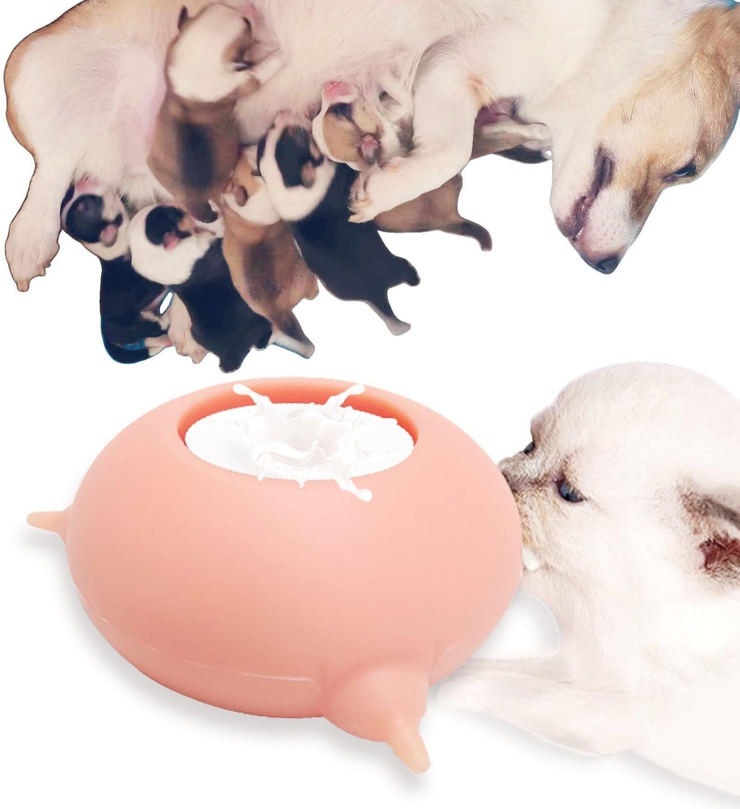 2023 New Milk Feeder for Kittens and Puppies, Puppy Feeders for Multiple Puppies, Food Grade Silicone Kitten Puppy Milk Nipple Feeder Pet Kitty Pacifier Bowl Feeder with 3/4 Nipples (3 Nipples 200ML)