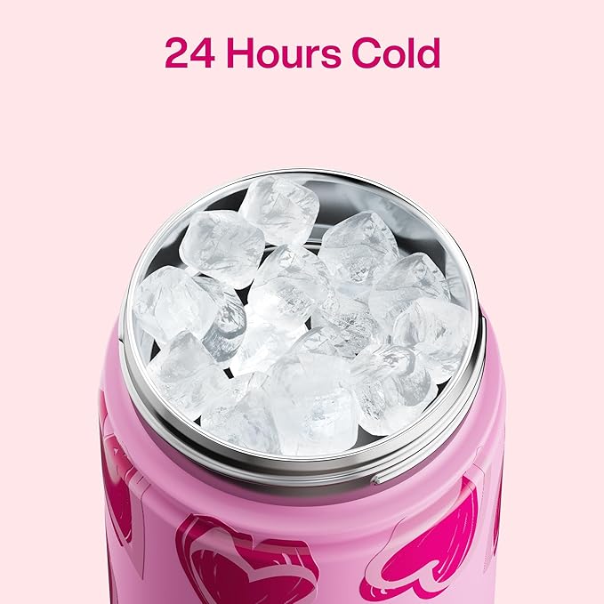 ENCOOL Valentine's Day Insulated Water Bottle with Straw Stainless Steel Water Bottle, Leak-Proof, BPA-Free, Keeps Cold for 24 Hours for Sports, Travel, School (26 oz, Sketch Hearts Pink x Pink)