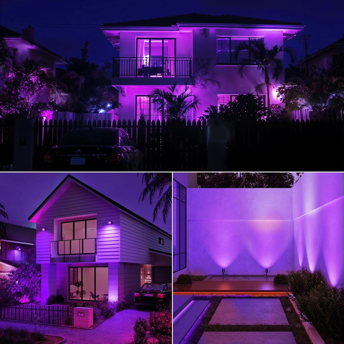 Dorillo Mr16 Purple Led Light Bulbs 6 Pack  6W (50W Equivalent)  Gu5.3 Bi-Pin 12V  Non-Dimmable  38 Beam  Halloween Decorative Lighting For Landscape  Patio  Path