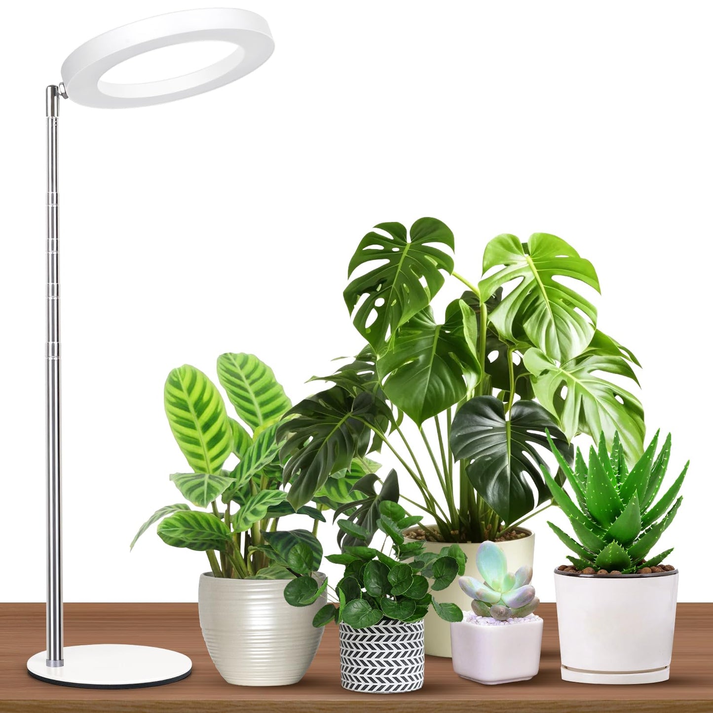 GTRUIIDY Desktop Grow Light, Height Adjustable Grow Lights for Indoor Plants Full Spectrum, 3 Lighting Mode, Halo Grow Light wit