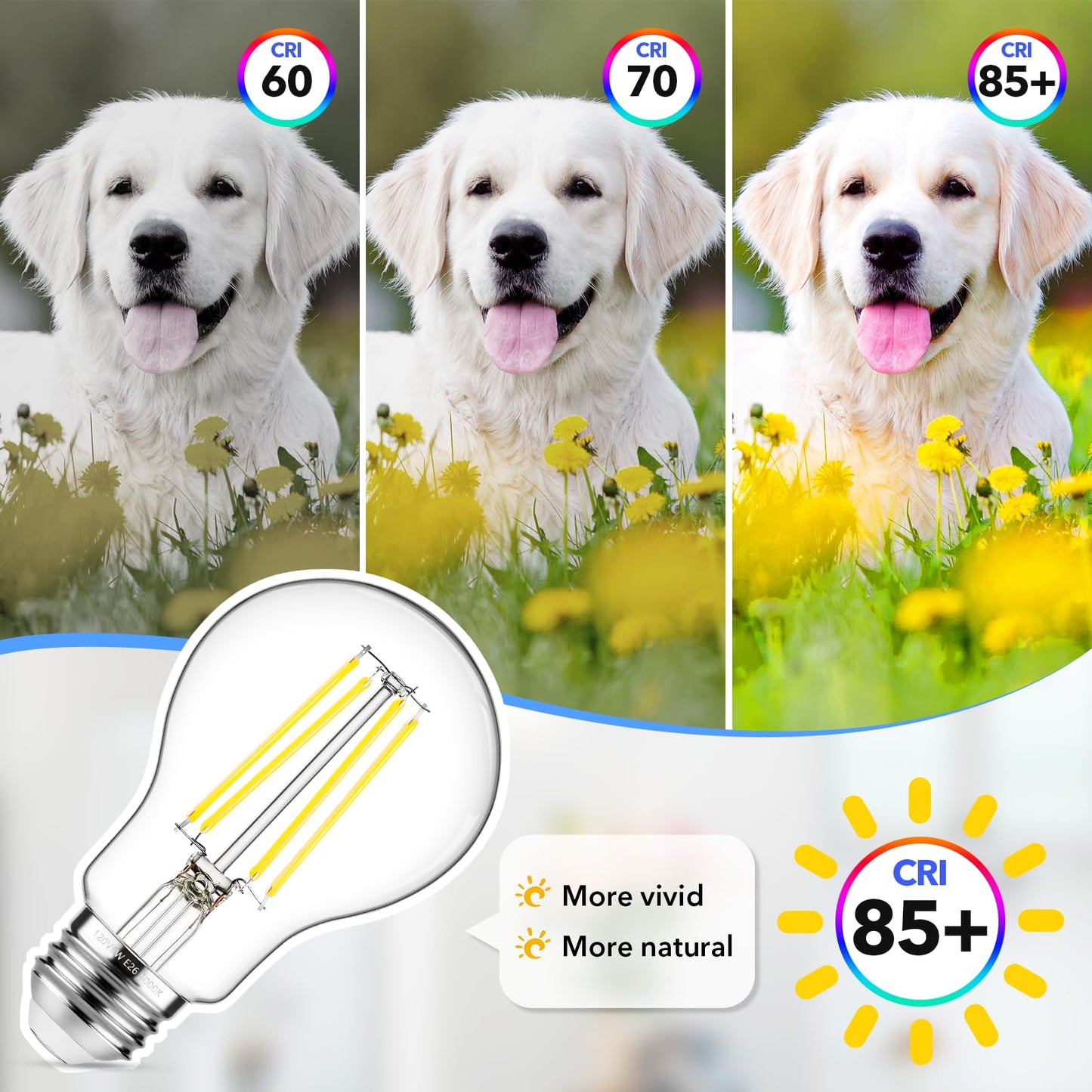 MAXvolador 60W Equivalent E26 LED Filament Light Bulbs, 850LM Daylight White 5000K LED Edison Bulb, Non-Dimmable 6W A19 LED Bulb Medium Base, 4-Pack