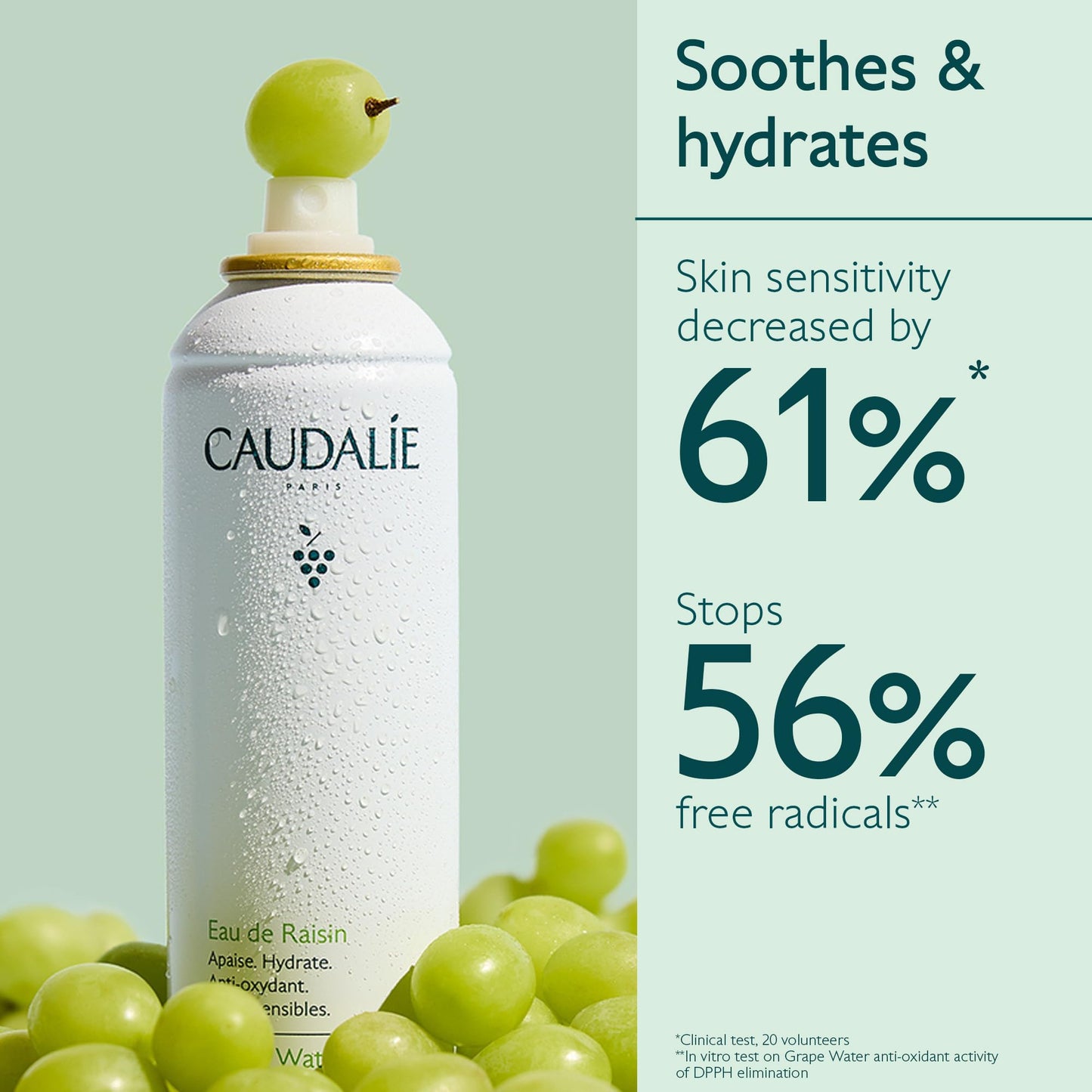 Caudalie Grape Water Moisturizing Face Mist Travel Size - 75 mL