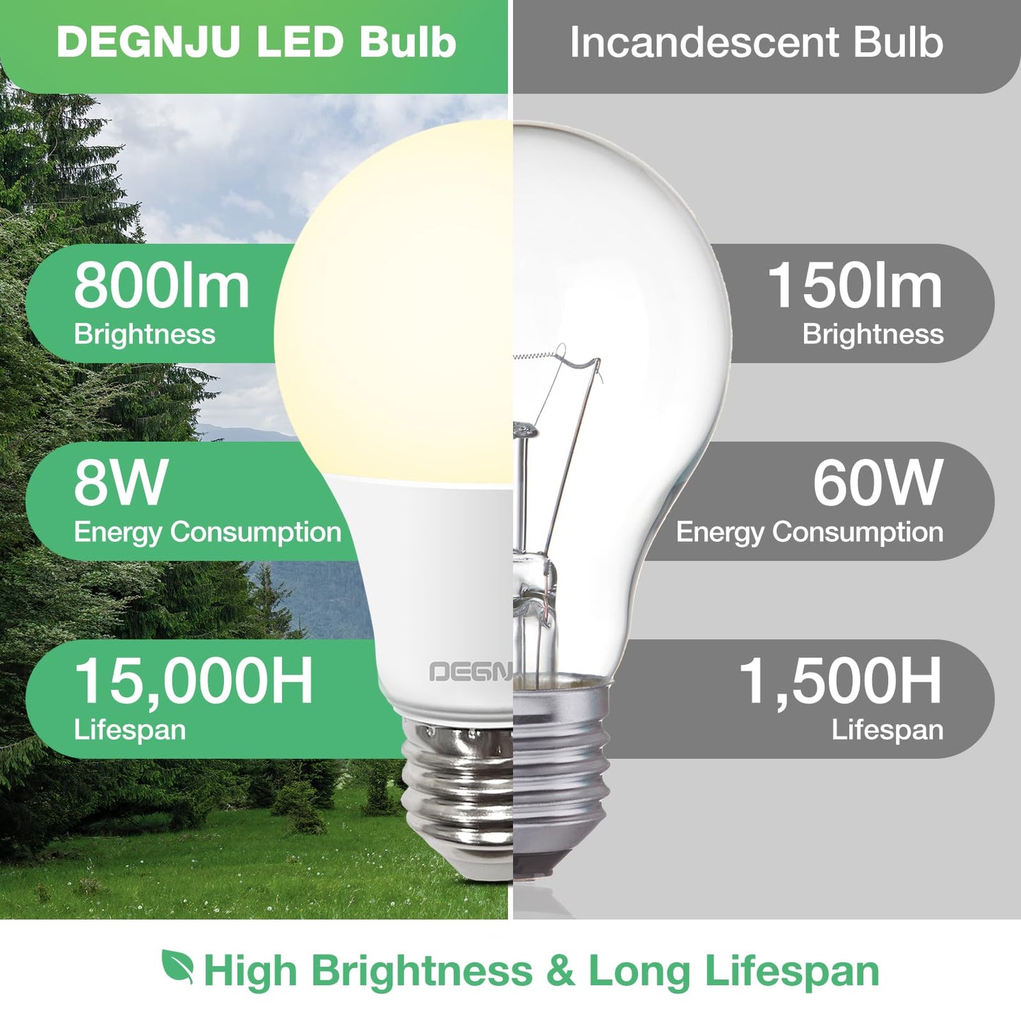 Degnju 36 Pack Led Light Bulbs 60 Watt Equivalent  A19 2700K Soft White  800 Lumens  E26 Base  Non-Dimmable  8 Watt Energy Efficient Led Bulbs For Home Lighting