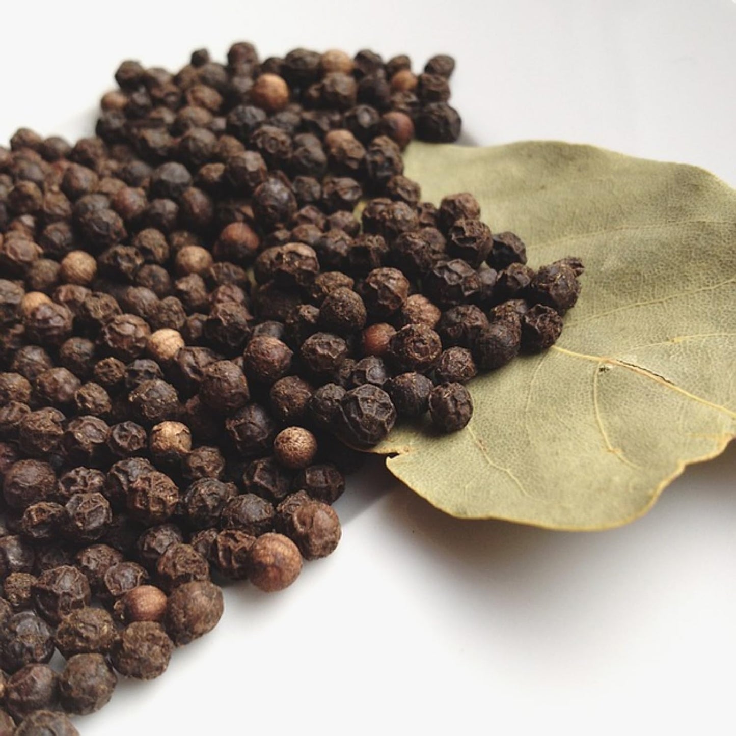 Black Pepper Plant Live, 4 to 6 Inches Tall, Live Pepper Plant, Piper Nigrum Live Plant, Herb Plant for Garden