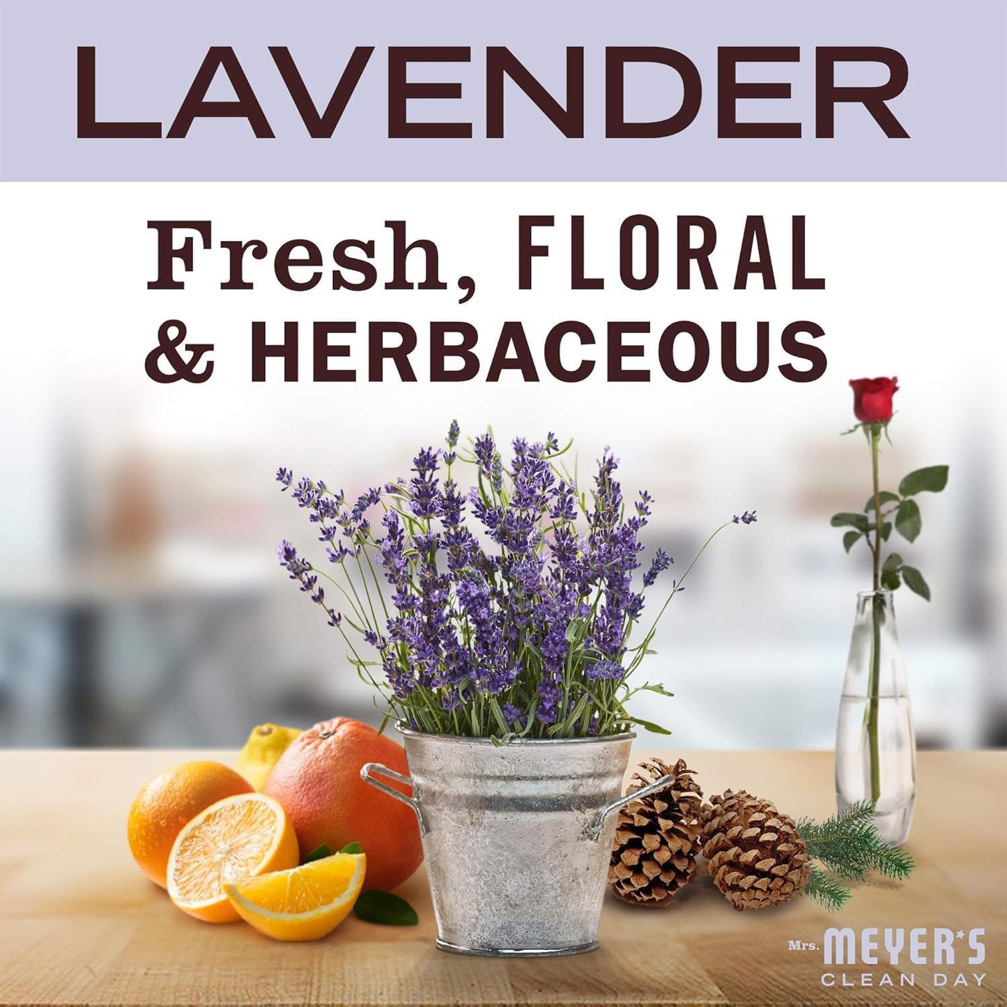 MRS. MEYER'S CLEAN DAY Liquid Dish Soap, Lavender Scent, 16 Ounce Bottle