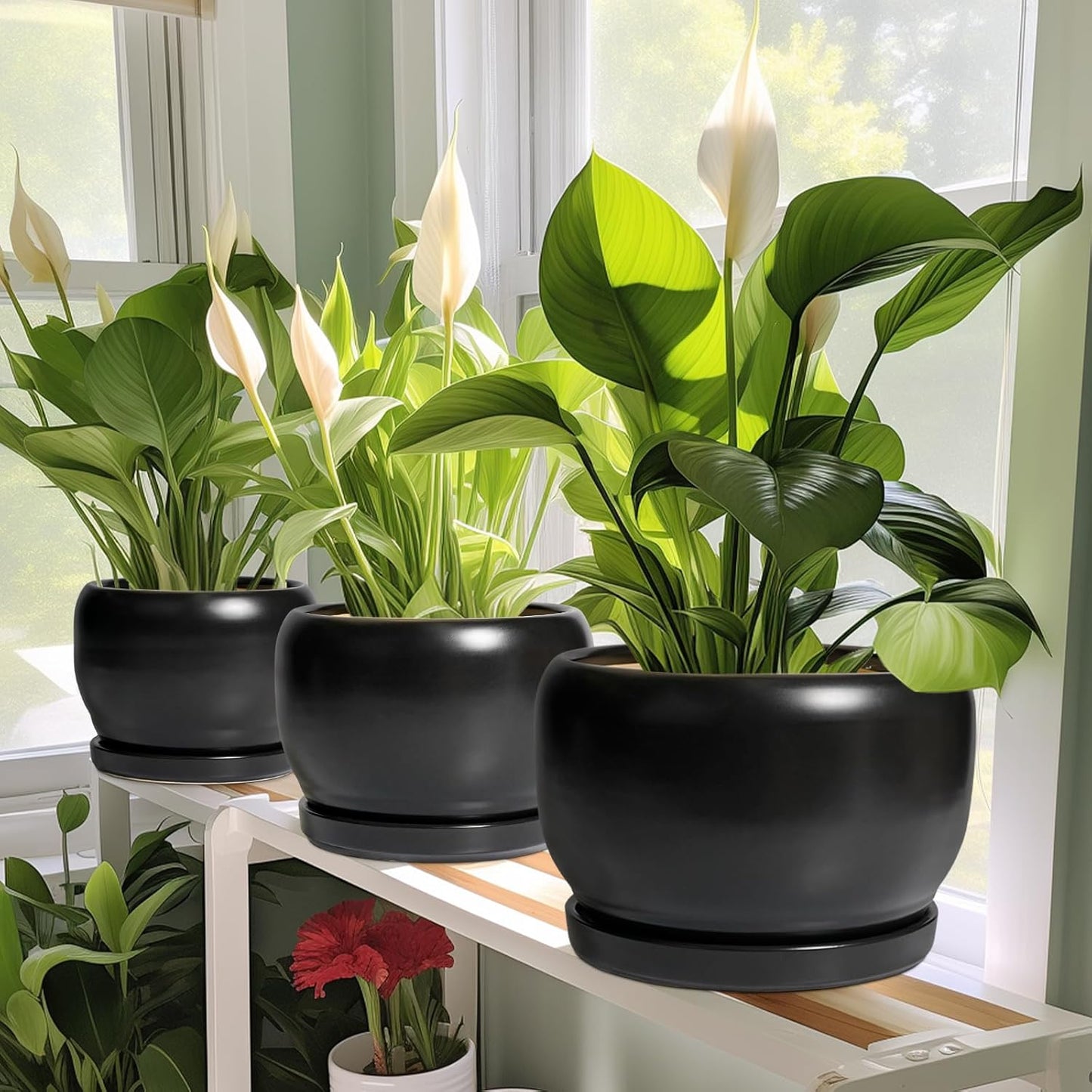 SQOWL Ceramic Plant Pot - 6 Inch Planter for Indoor Plants, Round Flower Pot with Drainage Hole and Saucer, Modern Succulent Planter Outdoor, House Decor, Plant Lovers Gifts, Black