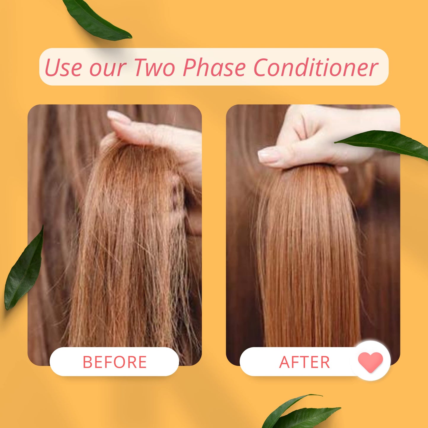 Morfose Professional Milk Therapy Two Phase Leave-in Conditioner for Dry, Damaged, or Brittle Strands, 12 Essential Amino Acids,