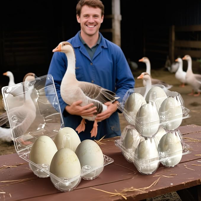tutata Goose Egg Cartons, 40 Pack, 1/3 Dozen Jumbo Egg Carton, Plastic Box, Blank Top