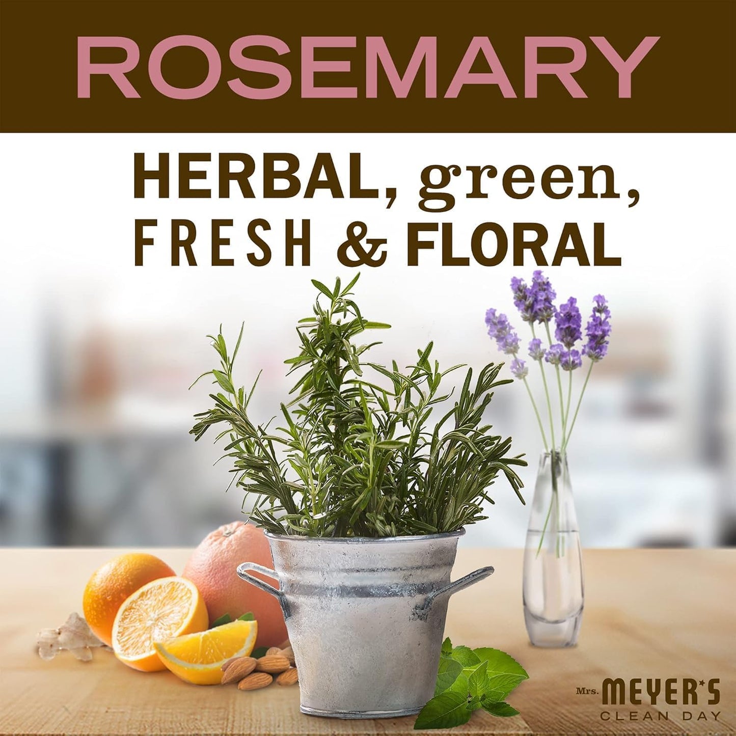 MRS. MEYER'S CLEAN DAY Liquid Dish Soap, Biodegradable Formula, Rosemary, 16 fl. oz