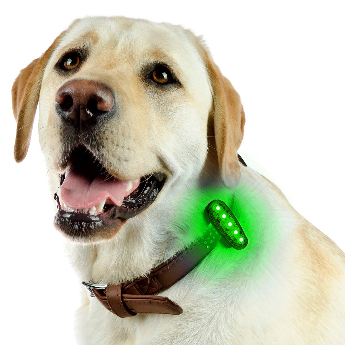 Usb Rechargeable Led Safety Lights (2 Pack) - Clip On Strobe Running Lights For Runners  Joggers Walkers Kids Dogs Bike Tail Lights - High Visibility Accessories For Reflective Gear (Green)