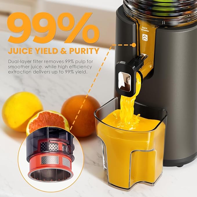 Cold Press Juicer, 5.5inch Wide Feed Chute Juicer Machine, Slow Masticating Juicer for Whole Vegetables & Fruits, Gray