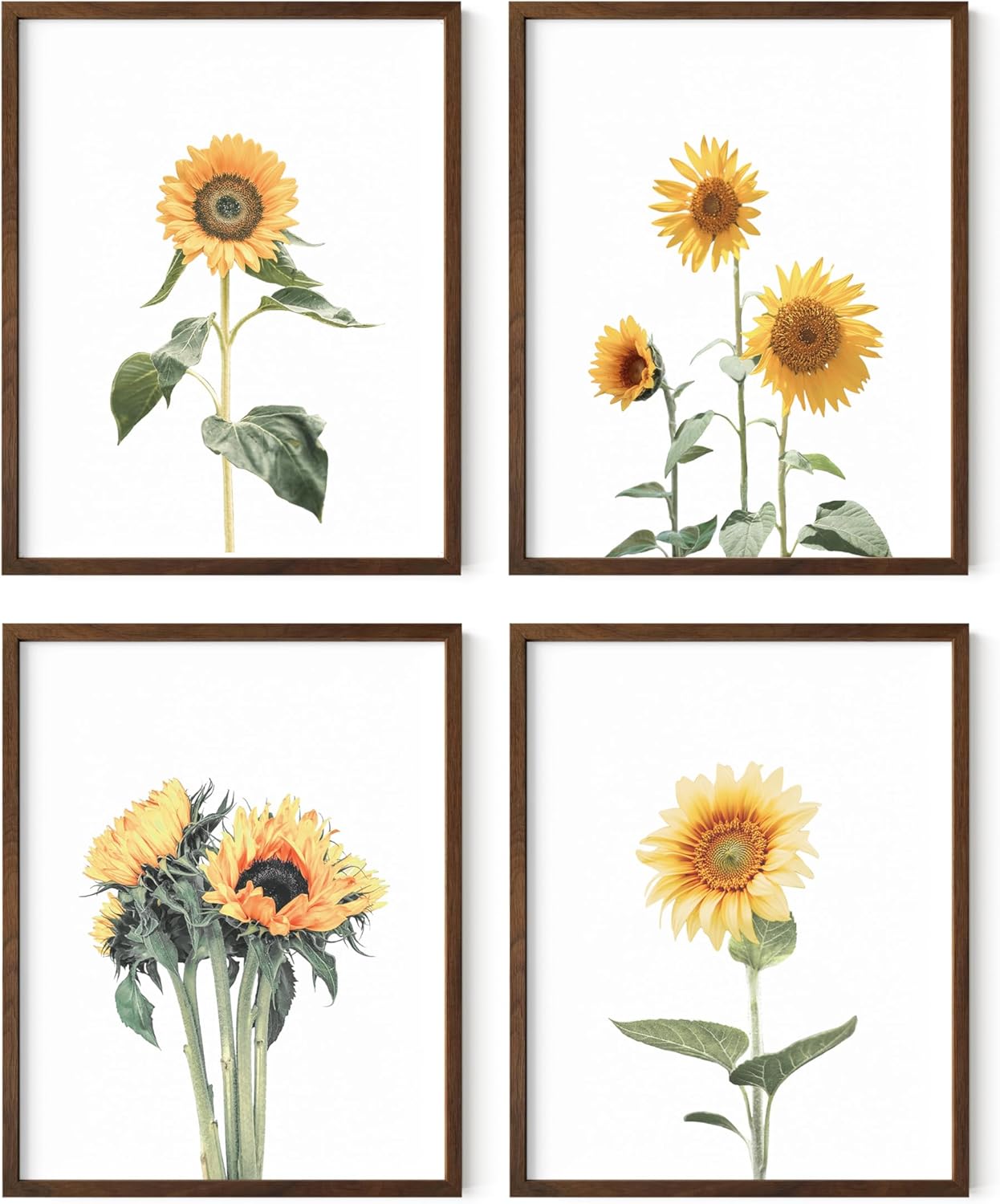 HAUS AND HUES Sunflower Wall Decor - Set of 4 Framed Sunflower Art Prints, Yellow Wall Art for Kitchen or Bedroom, Vintage Flower Paintings (Walnut Frame, 11x14)